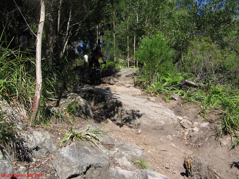 20070520-Bulli 057 